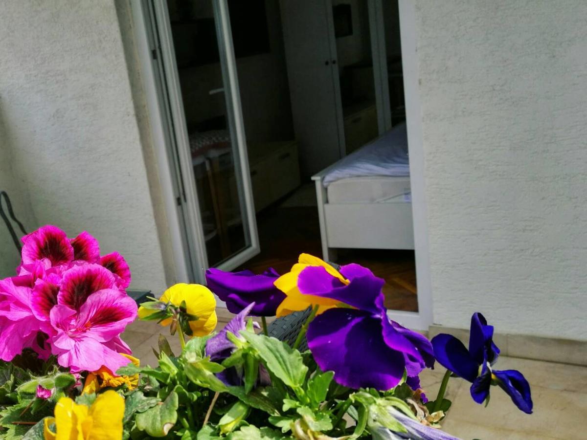 זאדאר Apartments Rogic מראה חיצוני תמונה